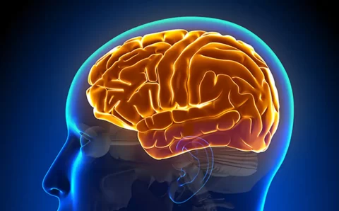 Cérebro cansado? Saiba por que fazer pausa aumenta sua produtividade