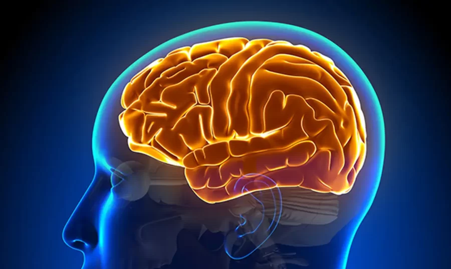 Cérebro cansado? Saiba por que fazer pausa aumenta sua produtividade