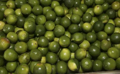 Suco de limão pode ajudar a controlar nível de açúcar no sangue