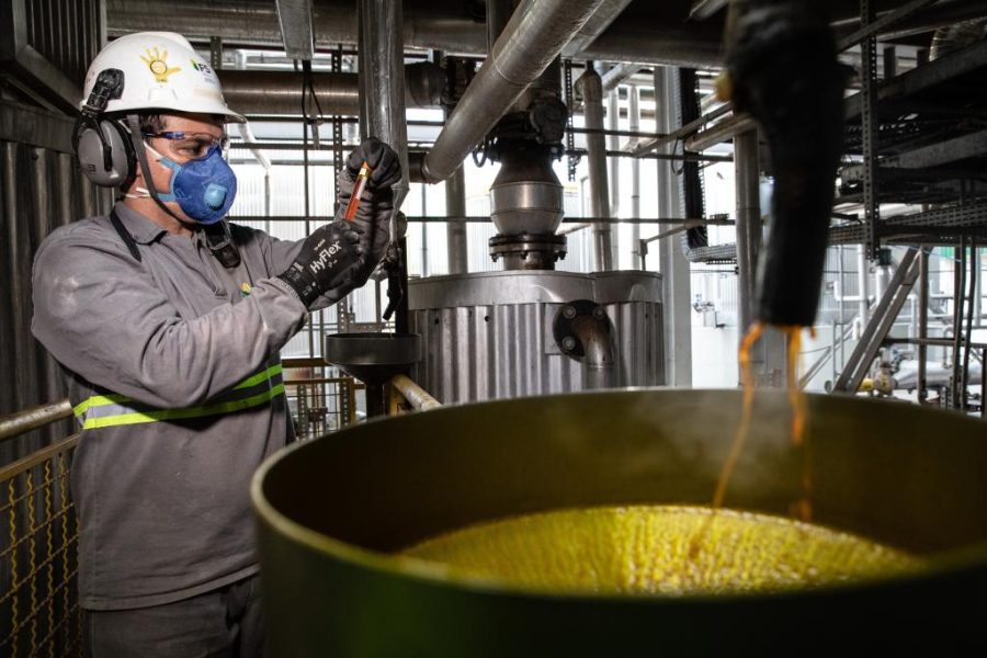 MT lidera 70% do mercado brasileiro em etanol de milho: “Potencial para crescer ainda mais”, afirma governador