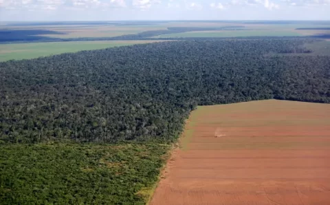 MT: Aprosoja MT alerta para risco jurídico em uso de dados ambientais como critério para crédito rural