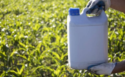 MT:  Famato alerta produtores sobre práticas irregulares na destinação de embalagens de defensivos em Mato Grosso