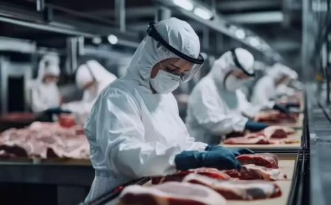 MT lidera exportações e bate recorde histórico de carne bovina no 1º trimestre de 2026