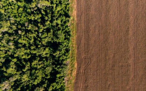 MT:  Nova regra do crédito rural acende alerta: sistema pode travar financiamento de produtores em MT
