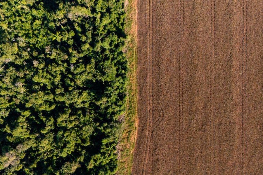 MT:  Nova regra do crédito rural acende alerta: sistema pode travar financiamento de produtores em MT