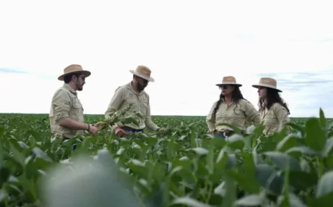 Safra de soja em MT supera desafios climáticos e chega a 51,56 milhões t