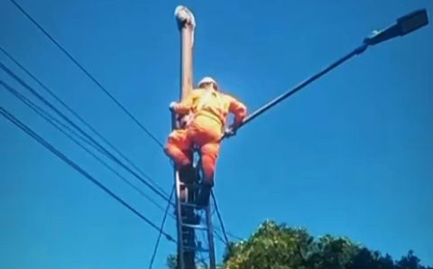 Bombeiros militares resgatam ouriço em poste de iluminação pública