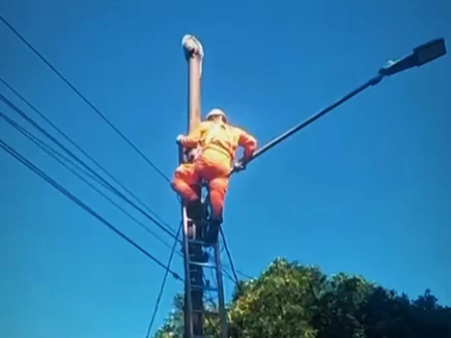 Bombeiros militares resgatam ouriço em poste de iluminação pública