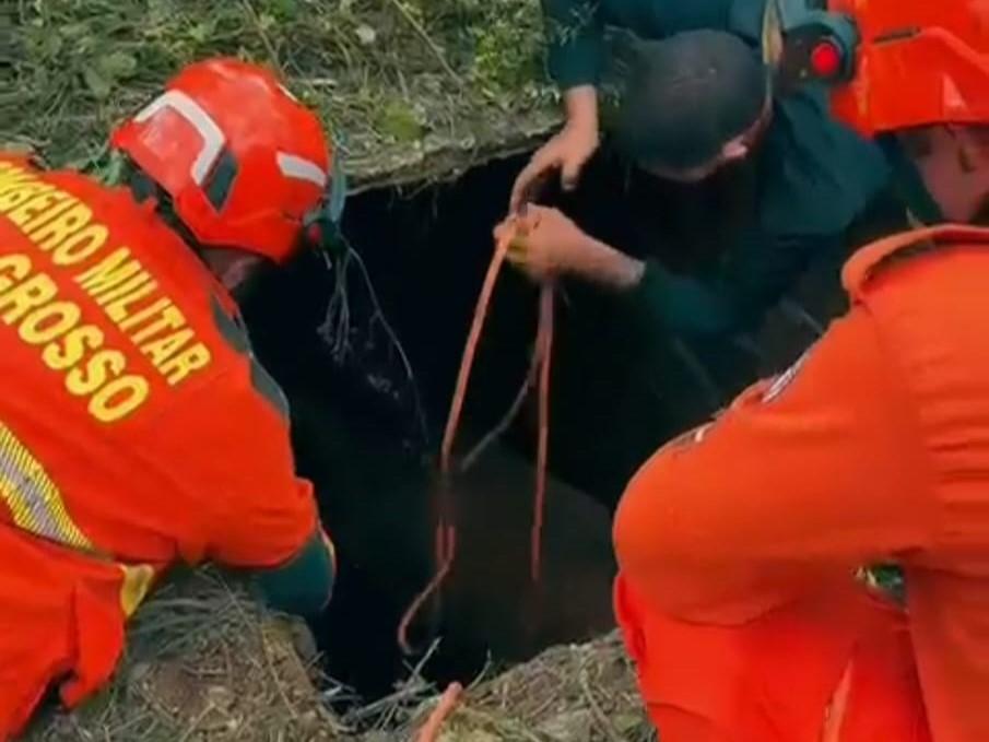 Corpo de Bombeiros resgata cavalo que caiu em fossa de três metros de profundidade