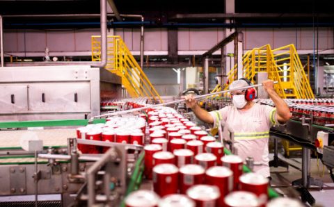 MT:  TRABALHO:   Indústria se destaca na geração de empregos entre setores produtivos