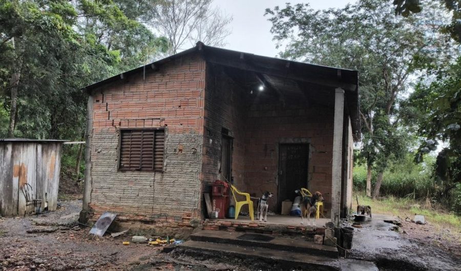Polícia Civil identifica suspeito por maus-tratos e abuso contra cachorro