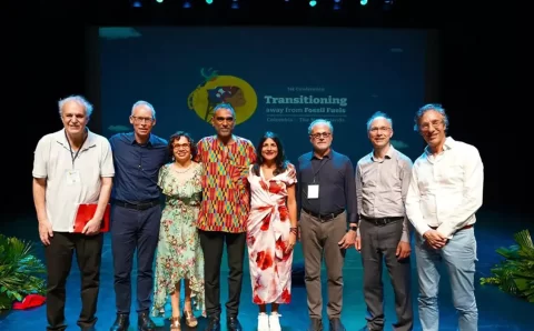 Cientistas criam painel para orientar transição energética global