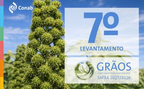 Safra de grãos pode chegar a 356,3 milhões de toneladas em 2025/26 influenciada por boas produtividades