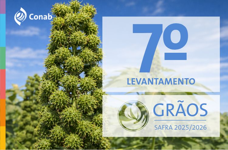 Safra de grãos pode chegar a 356,3 milhões de toneladas em 2025/26 influenciada por boas produtividades