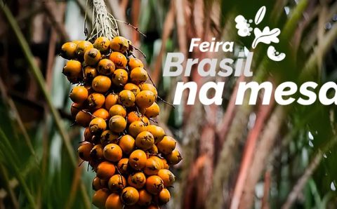 Mapa se une à Embrapa na realização da Feira Brasil na Mesa para valorizar alimentos da sociobiodiversidade brasileira