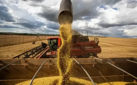 Produtor consegue na Justiça suspensão de royalties sobre soja e decisão pode impactar o setor