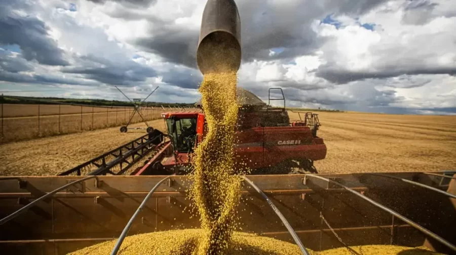 Produtor consegue na Justiça suspensão de royalties sobre soja e decisão pode impactar o setor