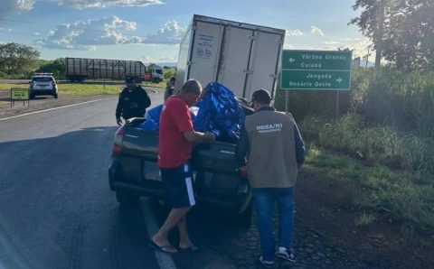 Indea intensifica fiscalização para coibir venda de pescado de estabelecimentos não registrados