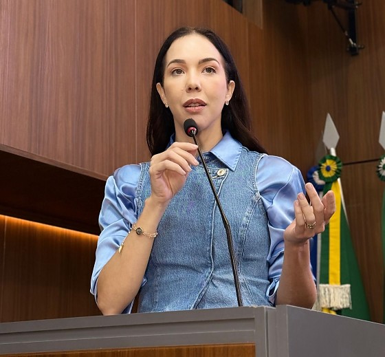 MT:  SEM REPAROS:   Vereadora diz que obra de ponte foi abandonada e cobra explicações da Prefeitura