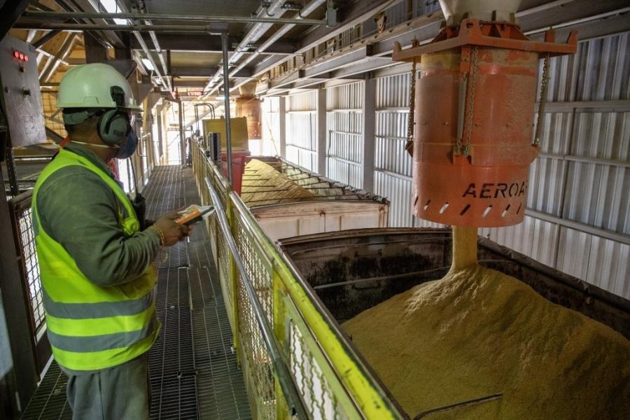 MT: Economia de Mato Grosso cresce 56% e supera China e Brasil juntos em sete anos