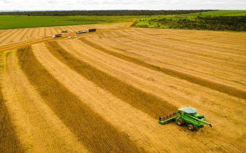 Mato Grosso consolida safra 25/26 com produção recorde e mantém liderança na soja há 26 safras