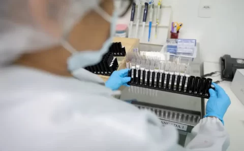 Fiocruz obtém patente para tratamento contra malária resistente