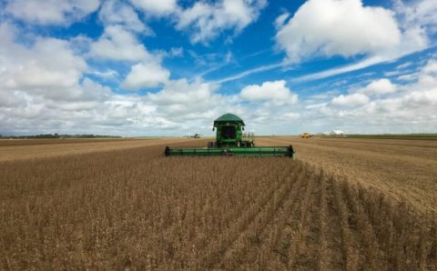 MT:  Agro impulsiona Mato Grosso à liderança da balança comercial brasileira no 1º quadrimestre, revela Imea