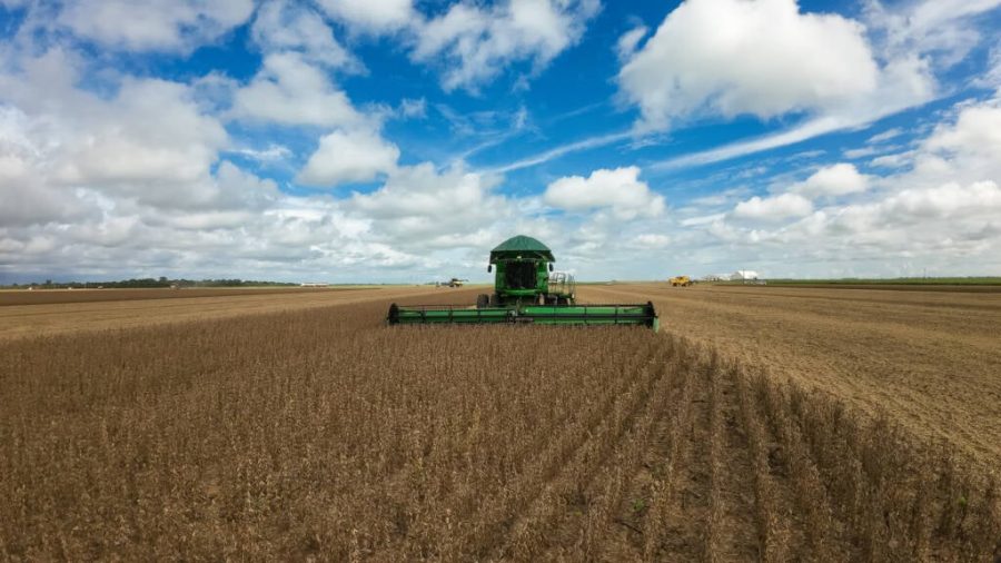 MT:  Agro impulsiona Mato Grosso à liderança da balança comercial brasileira no 1º quadrimestre, revela Imea