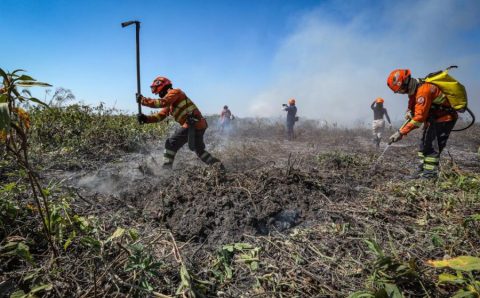 Governo de MT lança Plano de Ação de Combate ao Desmatamento Ilegal e Incêndios Florestais nesta segunda-feira (25)