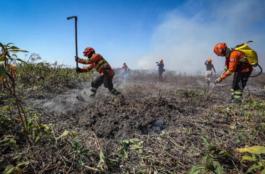 Governo de MT lança Plano de Ação de Combate ao Desmatamento Ilegal e Incêndios Florestais nesta segunda-feira (25)