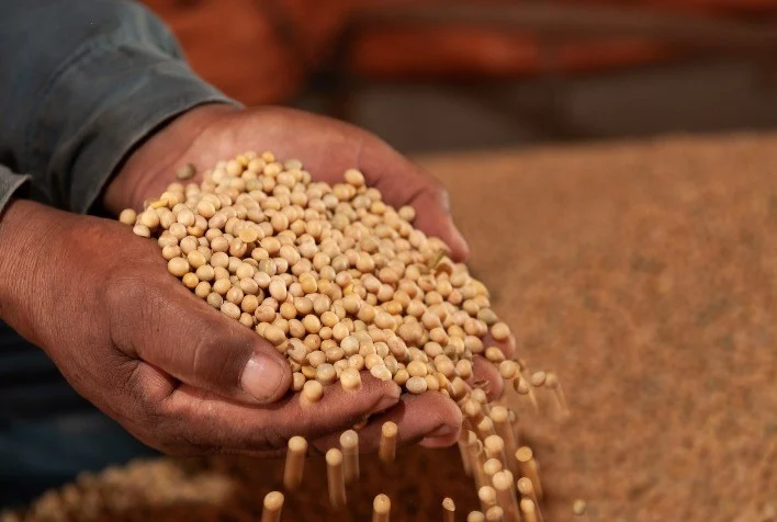 MT:  Agronegócio de Mato Grosso mais que dobra número de trabalhadores em duas décadas e atinge 449 mil empregos em 2026