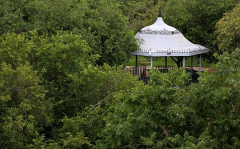 Sema abre inscrições para Trilha Interpretativa de Flora no Parque Mãe Bonifácia