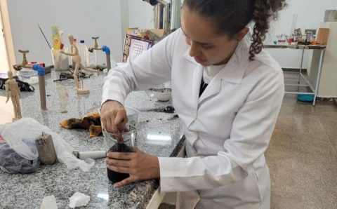 Fapemat realiza seminário de alinhamento do Programa Pesquisa para o SUS em Cuiabá