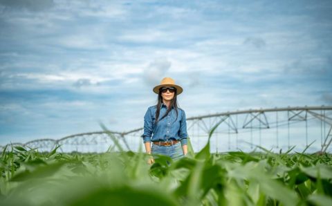 MT:  Soja sustentável rende R$ 6 milhões em bônus e impulsiona agricultura regenerativa em Mato Grosso
