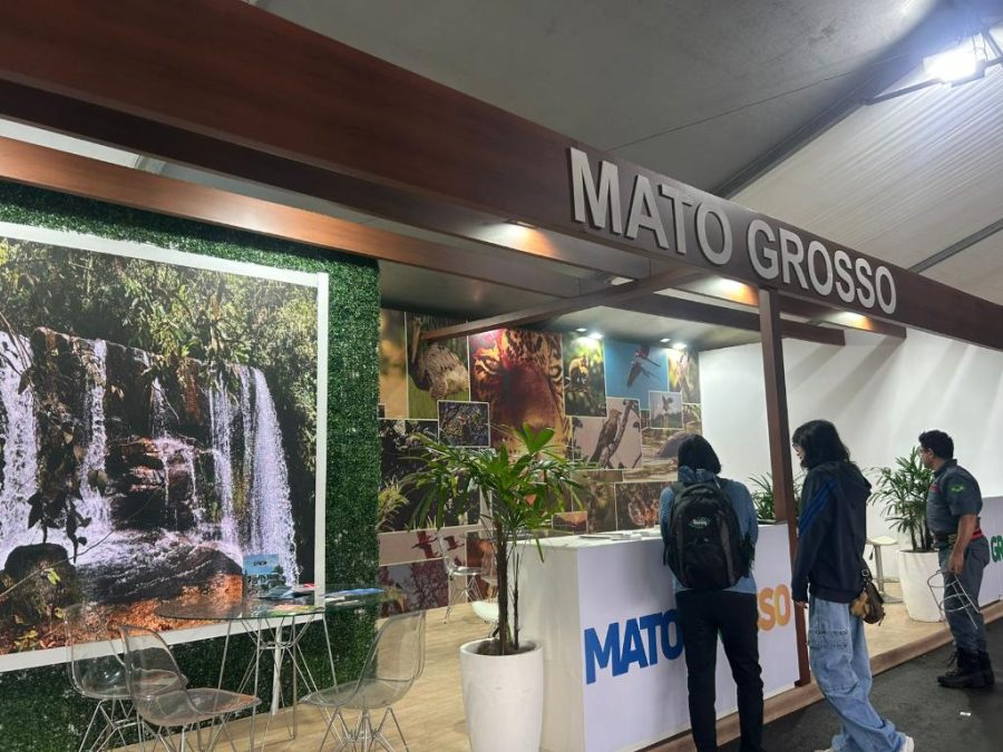 Terra das onças e aves, MT passa a ter rota de observação de primatas