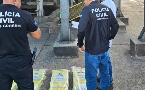 Polícia Civil incinera cerca de 109 quilos maconha apreendidos em Alto Araguaia e região