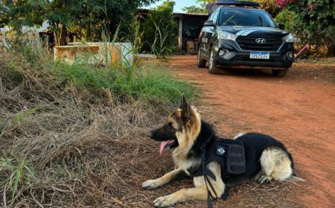 Polícia Civil deflagrou operação contra investigados por homicídio ligado a facção em Tabaporã
