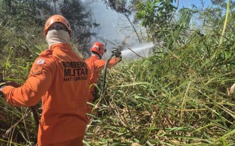 Corpo de Bombeiros combate incêndio em terreno urbano e atende vítima de acidente de trânsito
