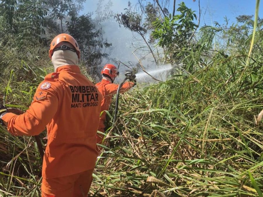 Corpo de Bombeiros combate incêndio em terreno urbano e atende vítima de acidente de trânsito