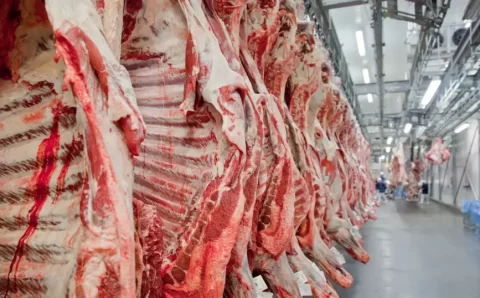 Governo promete reverter veto da UE a carnes e animais brasileiros