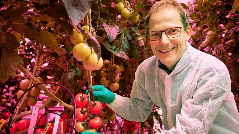 Como Holanda se tornou terceiro maior exportador de alimentos do mundo apesar do território pequeno