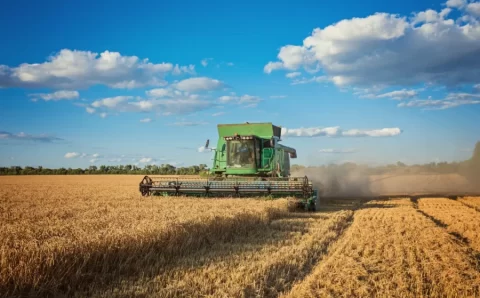Agronegócio deve entrar em 2026 com margens apertadas e economia mais lenta