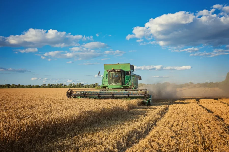 Agronegócio deve entrar em 2026 com margens apertadas e economia mais lenta