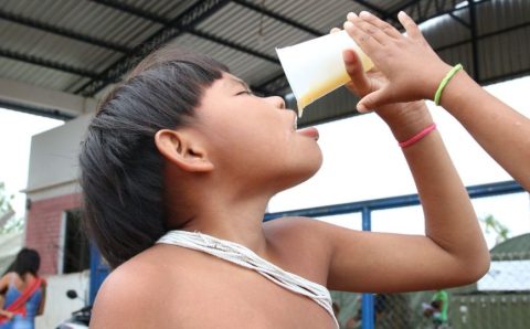 Consumo de alimentos ultraprocessados cresce entre povos tradicionais