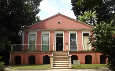 Museu paraense abriga uma das maiores coleções de mamíferos do mundo