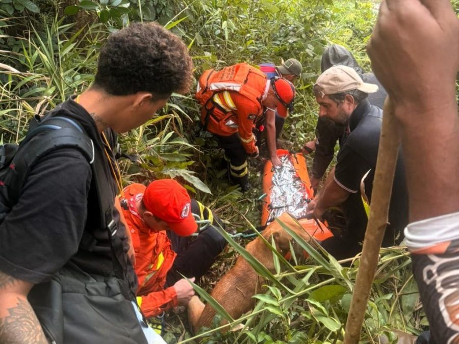 Bombeiros resgatam mulher com vida após vários dias perdida em área de mata