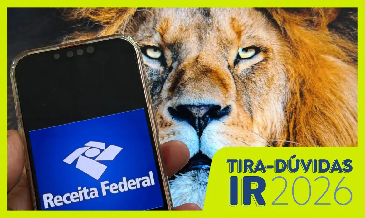 Como declarar poupança, renda fixa e variável no Imposto de Renda?