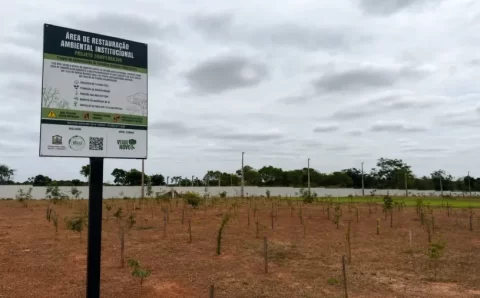 Tribunal de Justiça inicia inventário florestal de área do fórum de Várzea Grande