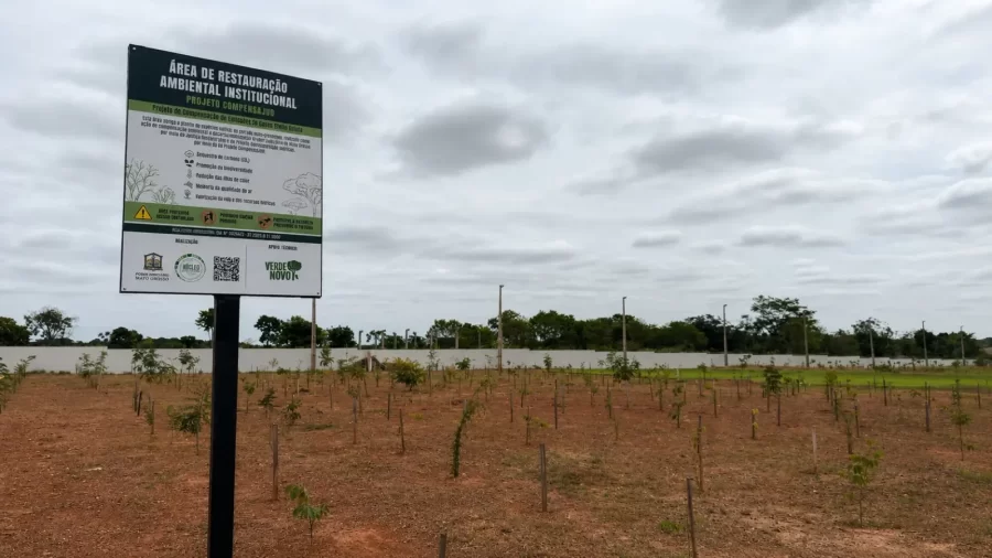 Tribunal de Justiça inicia inventário florestal de área do fórum de Várzea Grande