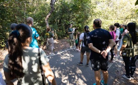 Atividades guiadas no Parque Mãe Bonifácia resgatam importância de árvores nativas